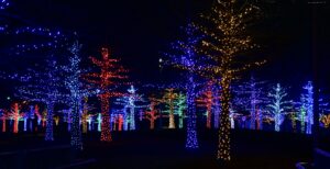 Tampa Bay December holiday events including parades, lights, and festivals