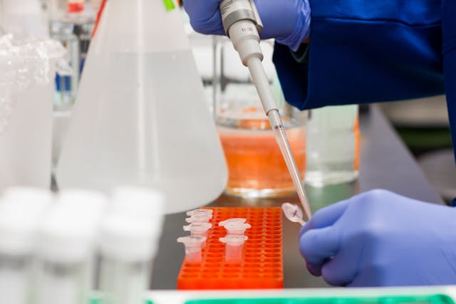 Researcher using pipette in modern laboratory with test tubes and beakers